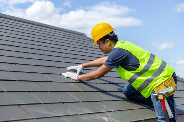 Roof Gutter Cleaning in Manvel, TX